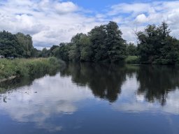 Mainschwimmen Juni 2026